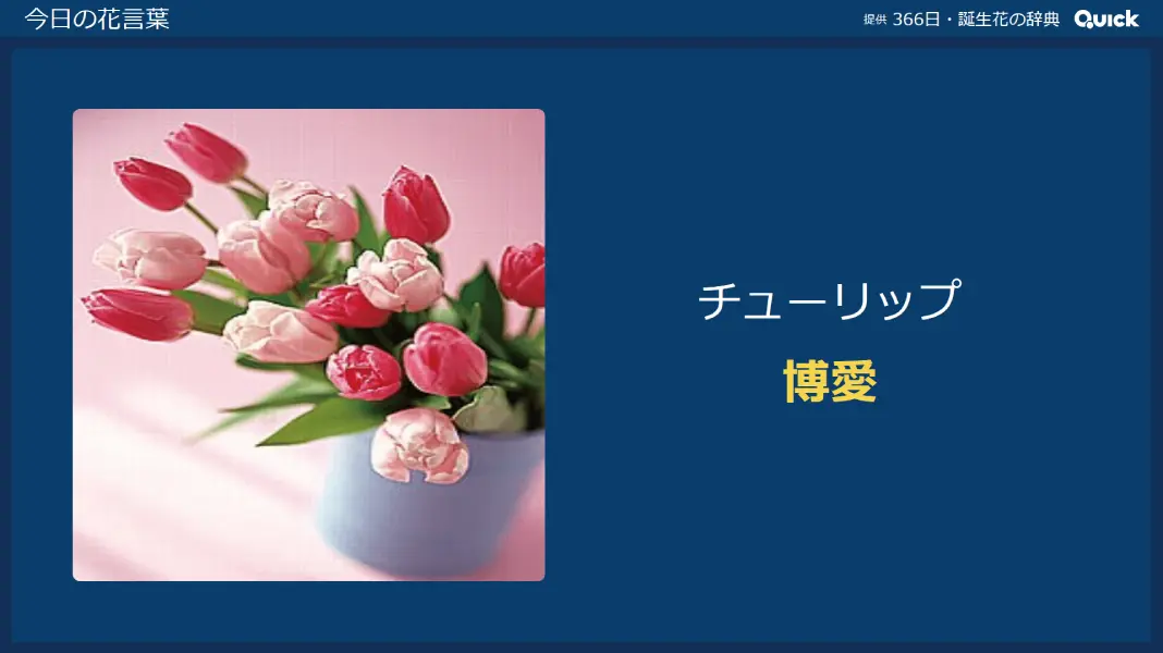 QUICK VisCastシリーズ 花言葉