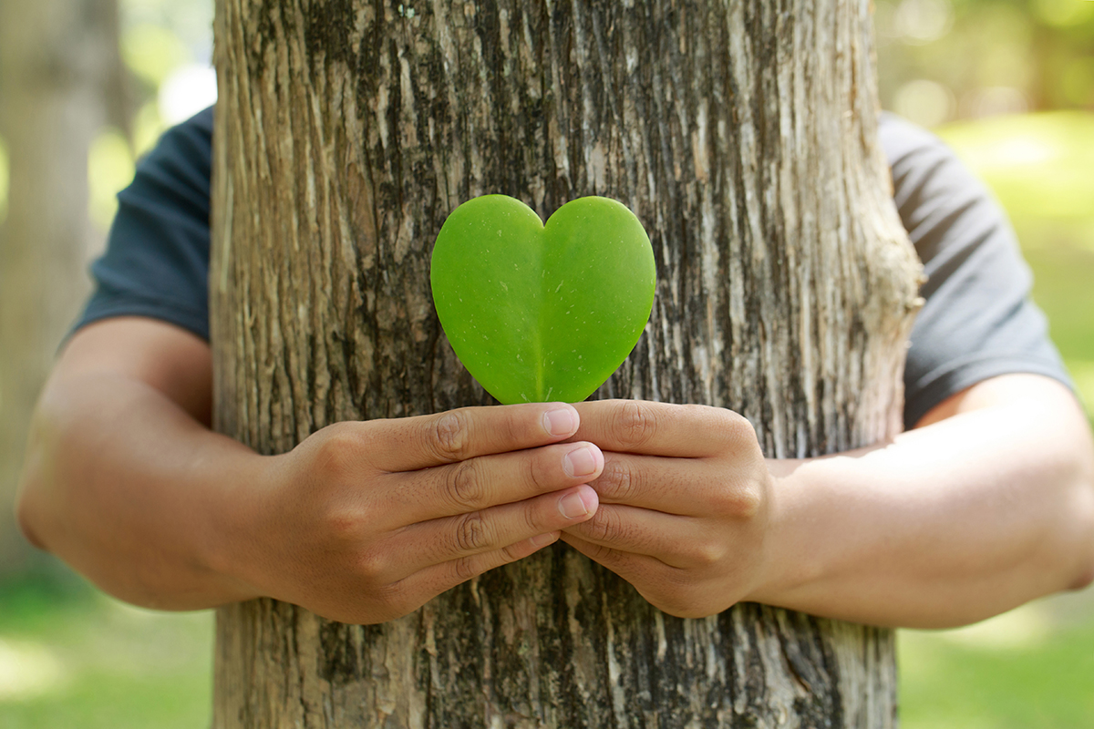 Survey of Sustainability Awareness among Individuals in Japan